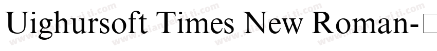 Uighursoft Times New Roman字体转换